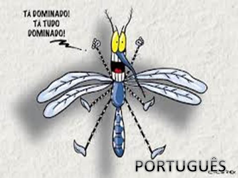 lingua  portuguesa