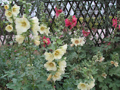 Flowers at Parc Flora, Paris