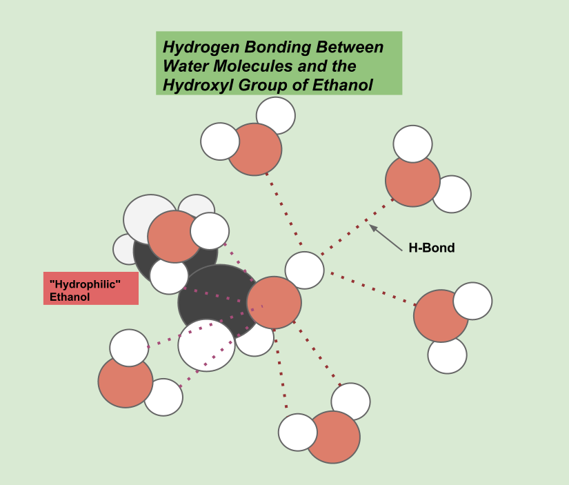 Learning Chemistry Easily Intermolecular Forces In Solutions
