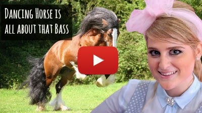 WatWatch Cheeky the Horse dance to Meghan Trainor's Classic music hit 