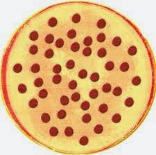 Pizza Fraction game