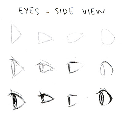 eye_shapes_side_view.jpg