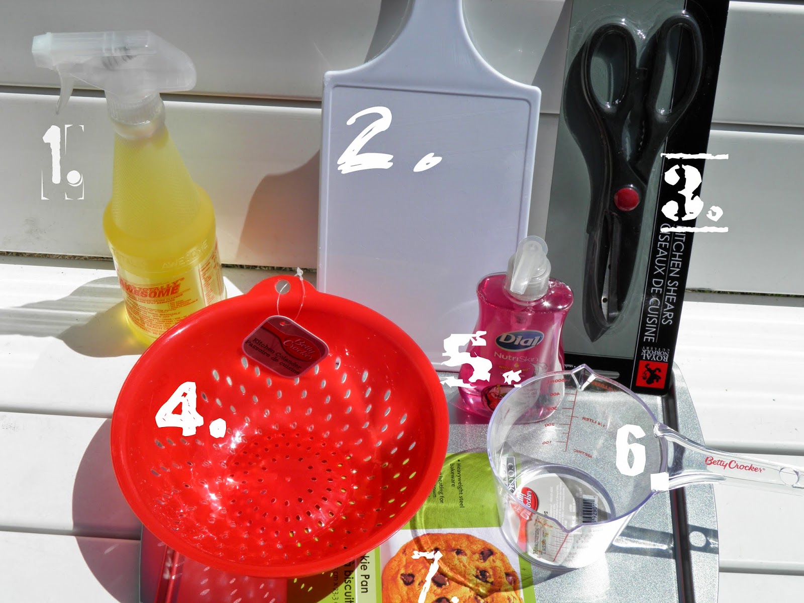 BounSEE Dollar Store Camping Supplies