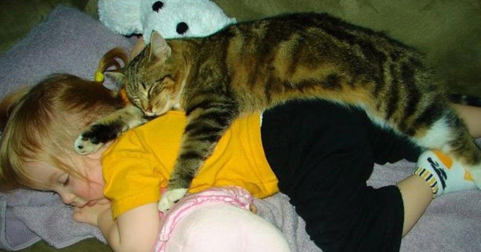 مامى لأول مرة كيفية اختيار مدرسة مناسبة لطفلك