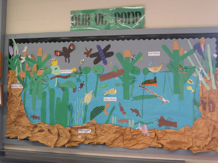 Our Pond Mural