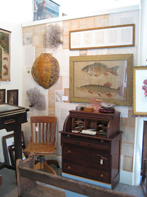 The New Victorian Ruralist: Kabinett & Kammer....