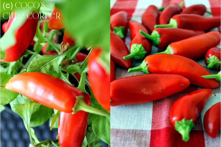 Donau wo auch immer Nervenkitzel chili konfitüre jamie oliver