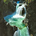 Englishman River Falls Provincial Park, British Columbia