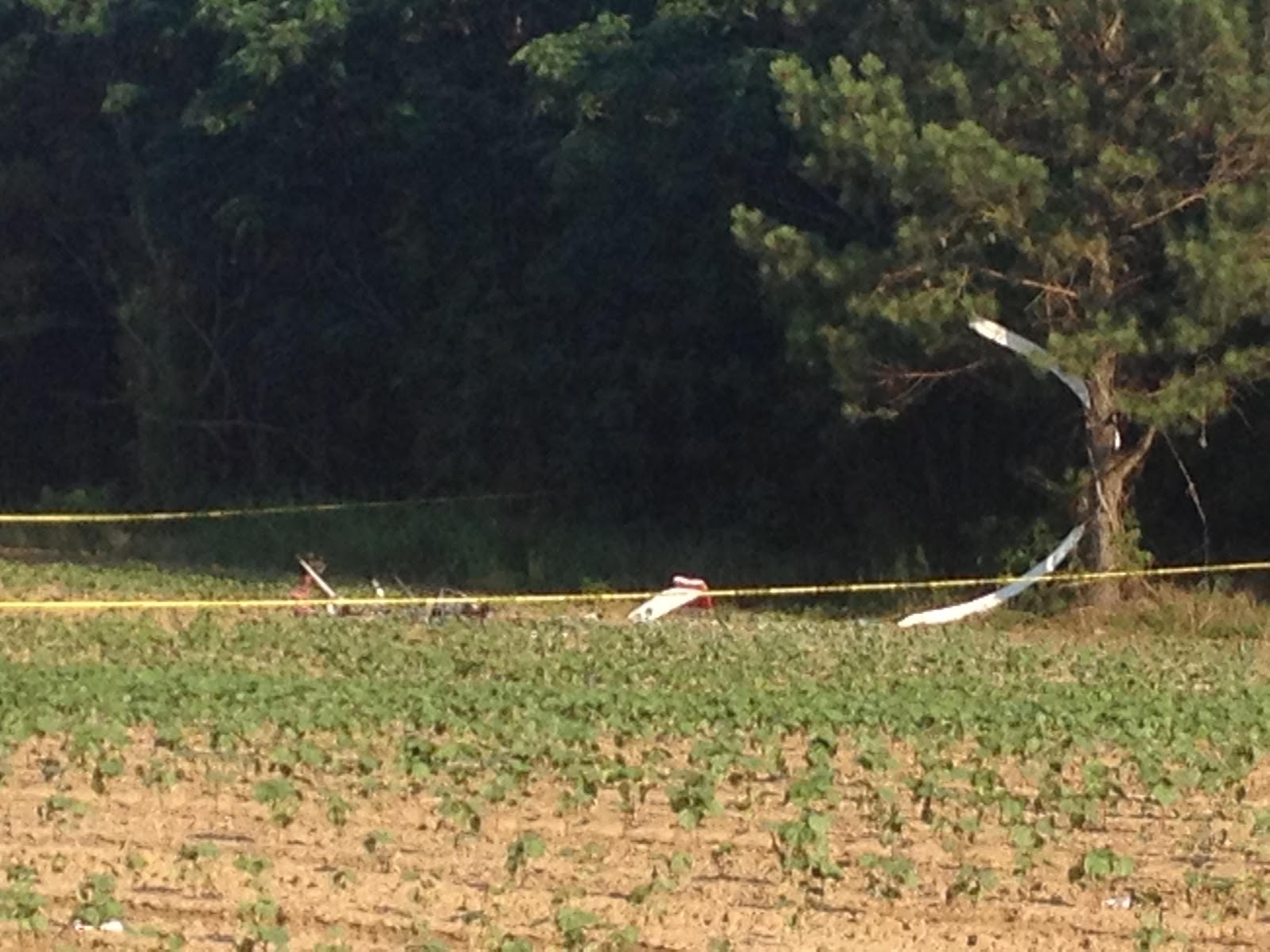 Kathryn's Report Dogbee gyroplane built by C. W. Bowen, N1481