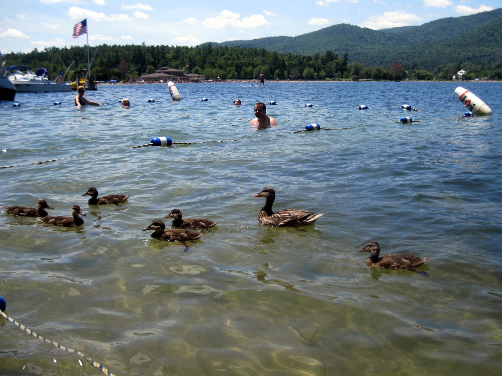 Adirondack Baker A Perfect Day on Lake and an EASY Cookie Recipe!
