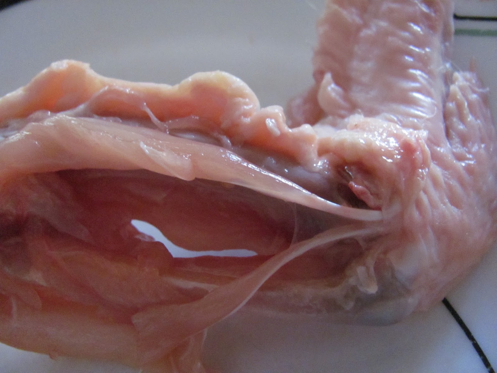 BIO 156, Fall 2015: Week 6. Chicken Wing Dissection Lab.