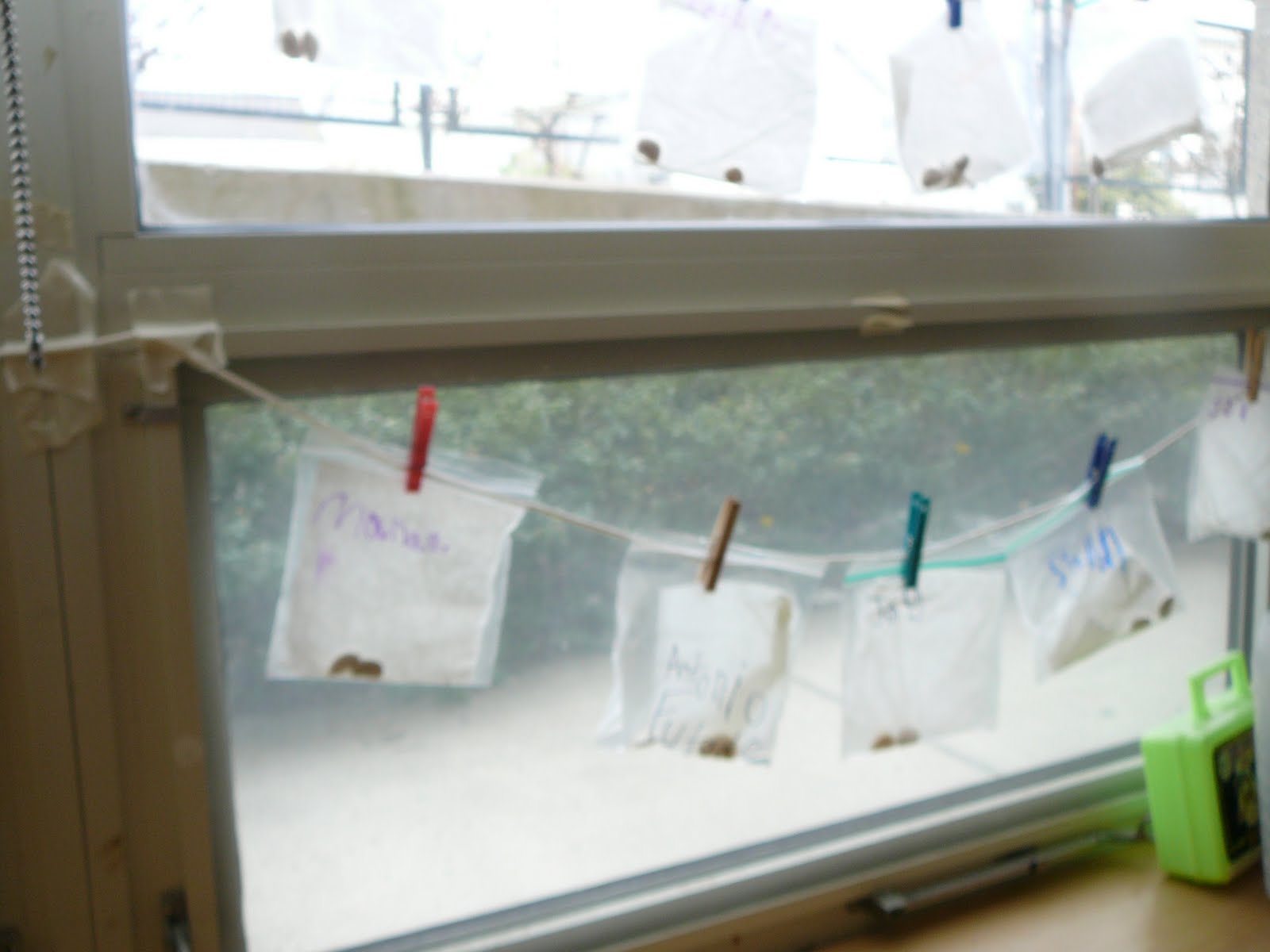 Mrs. Hewitt's Class Planting