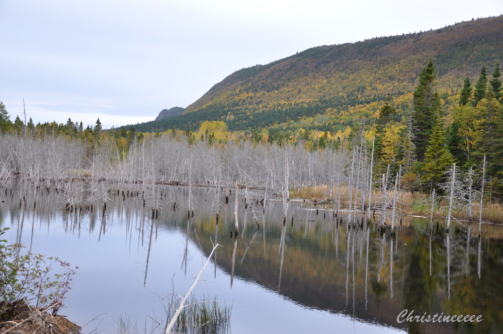 L'ardoise magique LAC AUX CASTORS