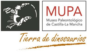 MUSEO DE PALEONTOLOGÍA DE CASTILLA-LA MANCHA