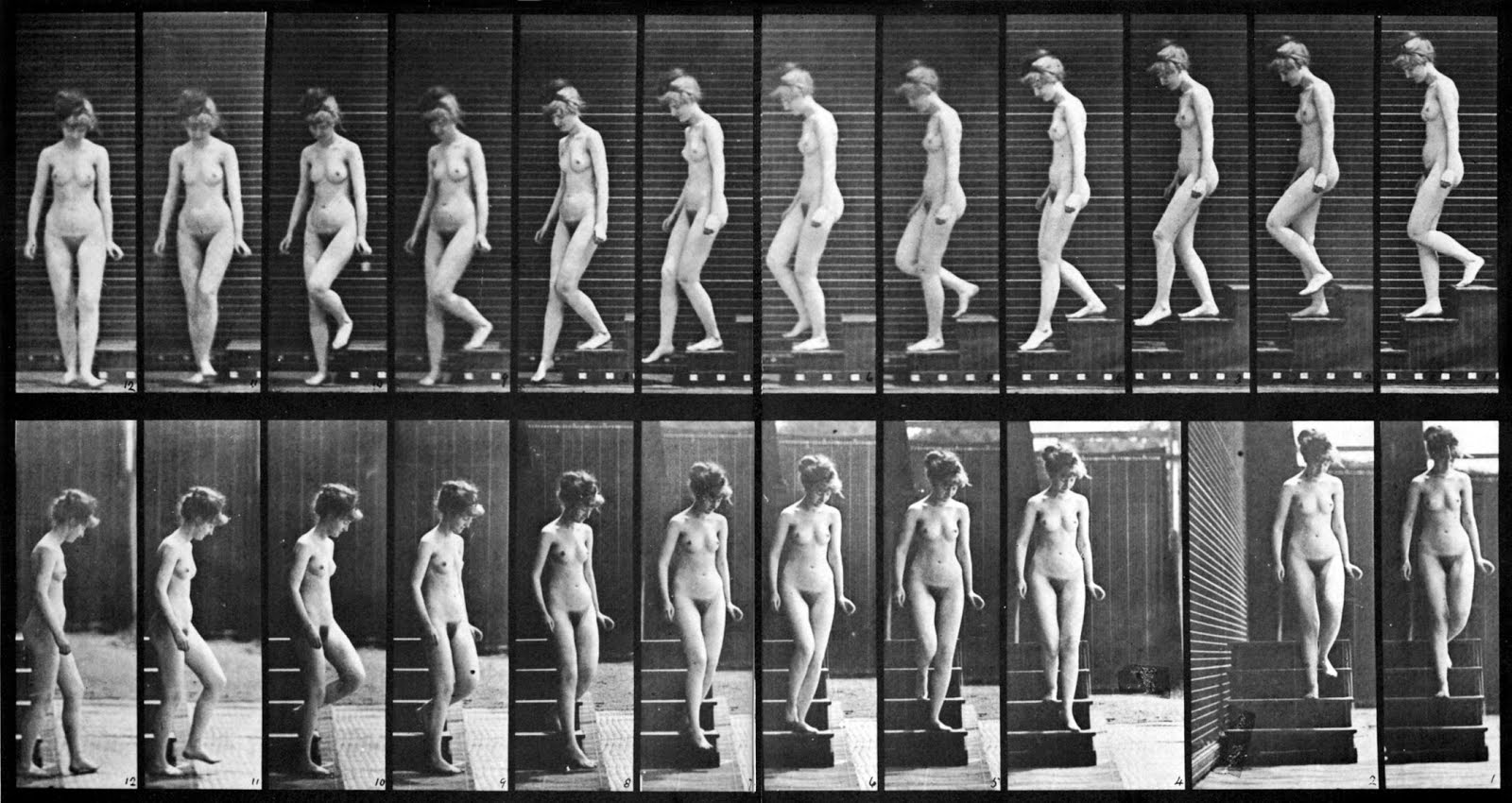 Female nude motion study