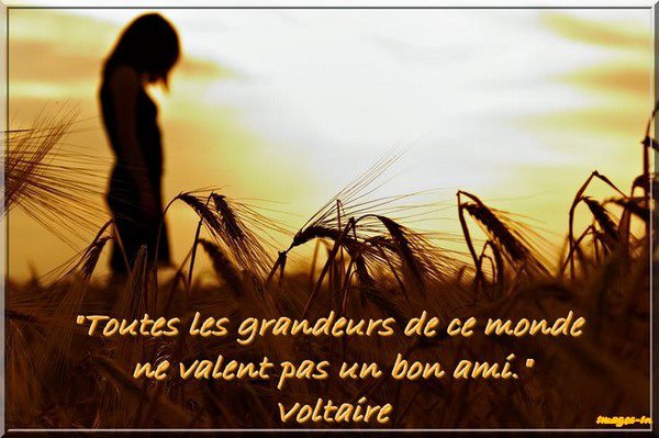Citations Et Panneaux Facebook A Partager Un Vrai Ami Vaut Davantage Que Toutes Les Grandeurs