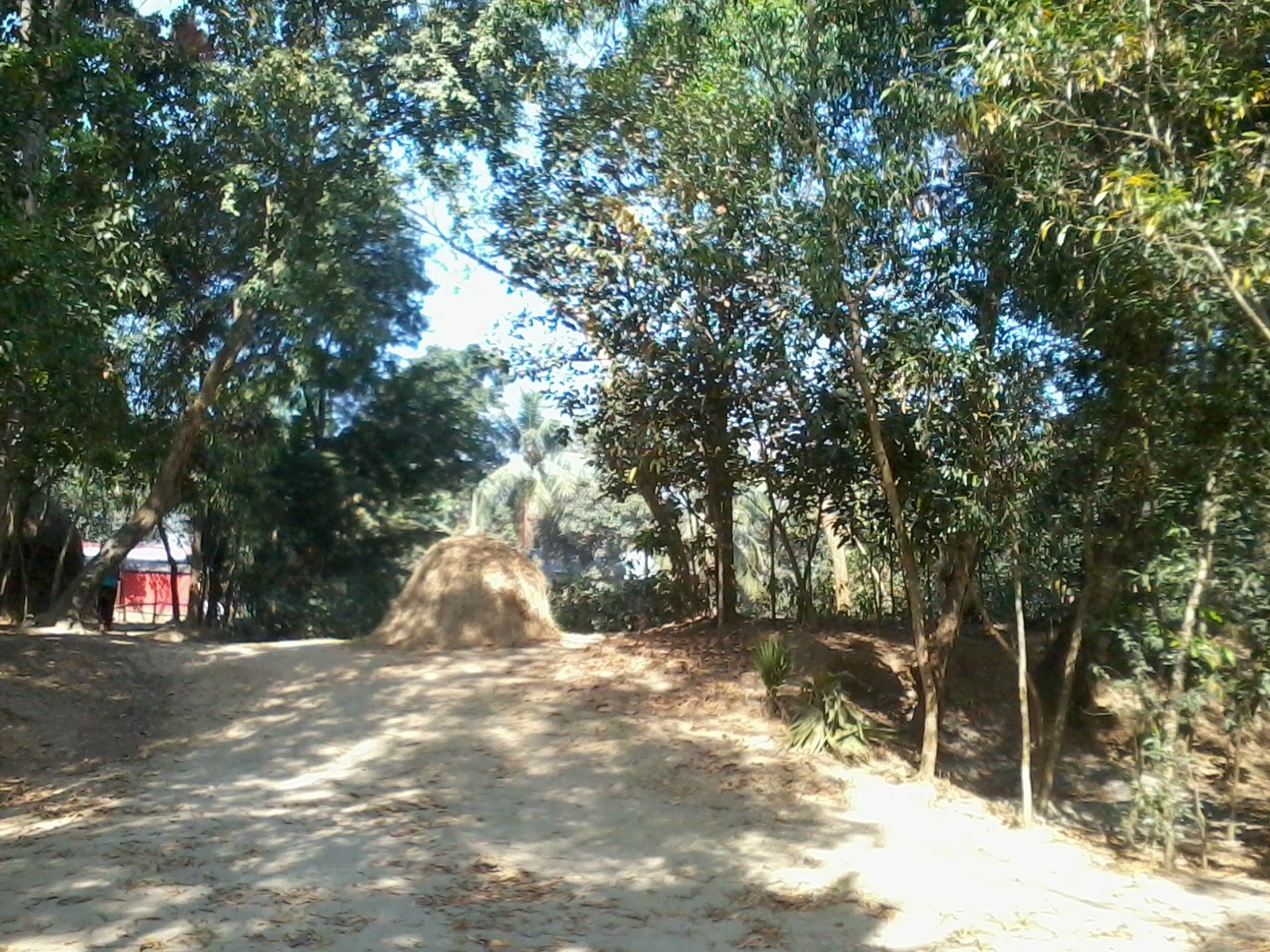 Gram Banglar HD Nature Picture Free Download- Nature Village Picture