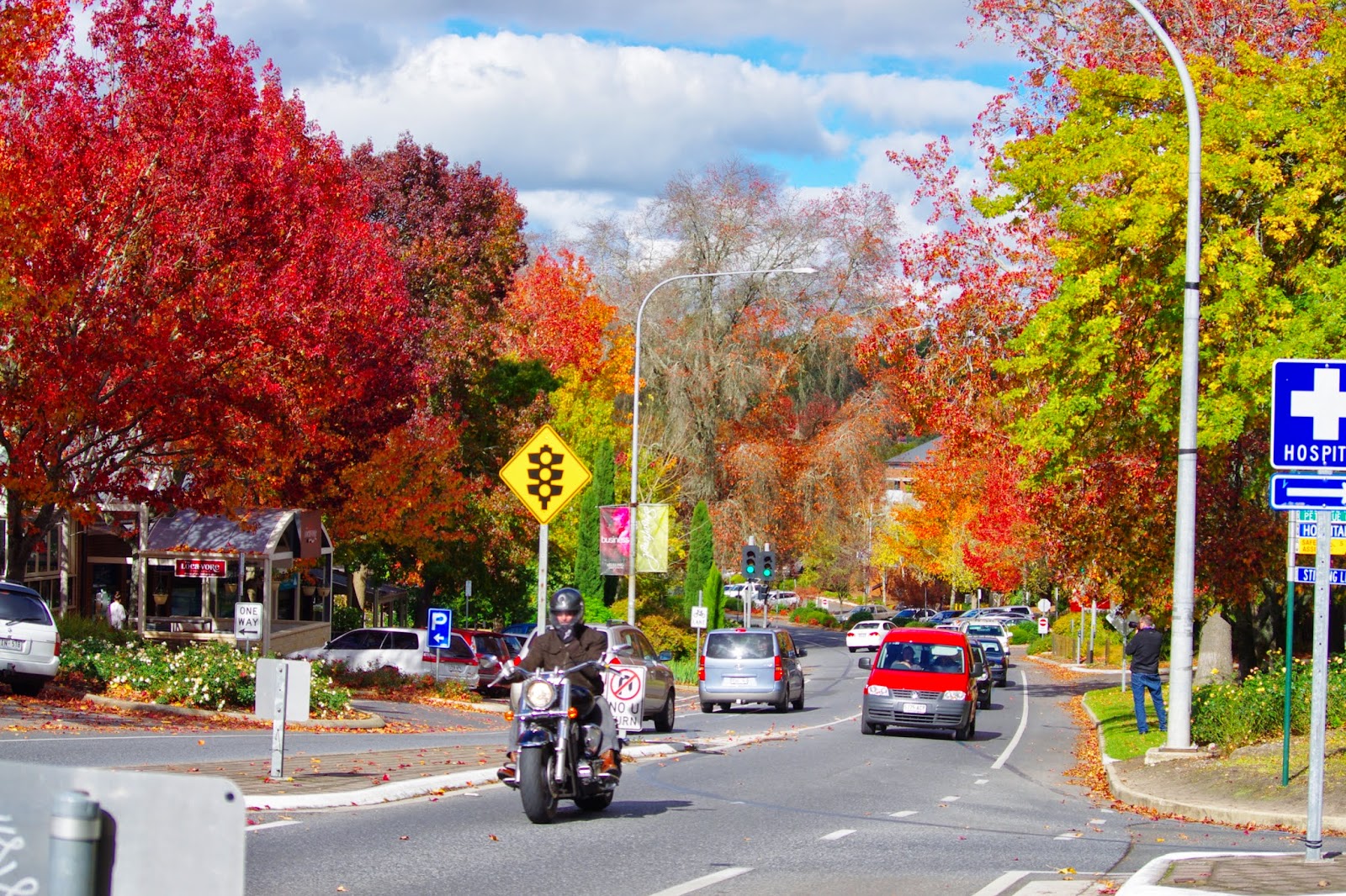 Geoff Thompsons Blog Autumn in the Adelaide Hills
