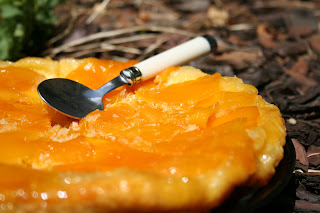 tarte tatin mangue et noix de coco Juillet+2011+012