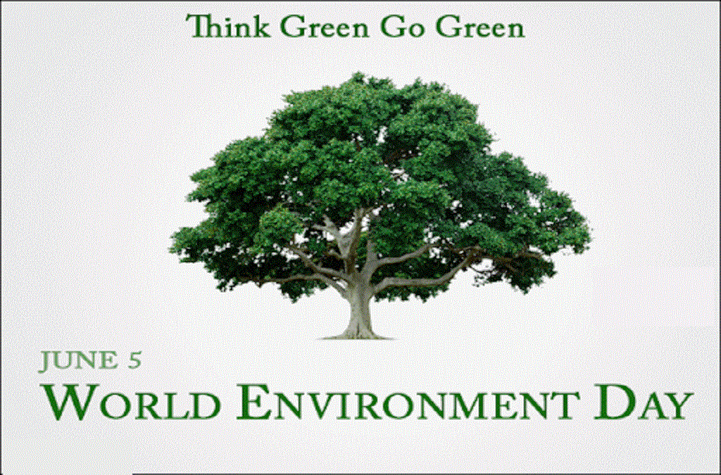 essay for world environment day essay for world environment day