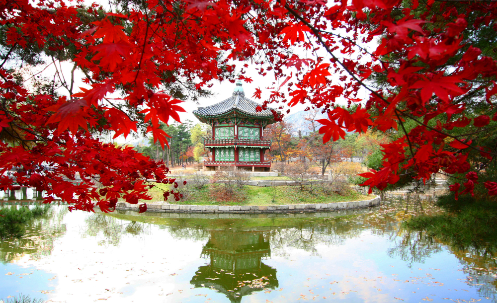 Lãng mạn sắc thu Đông Bắc Á 7 Han Quoc1