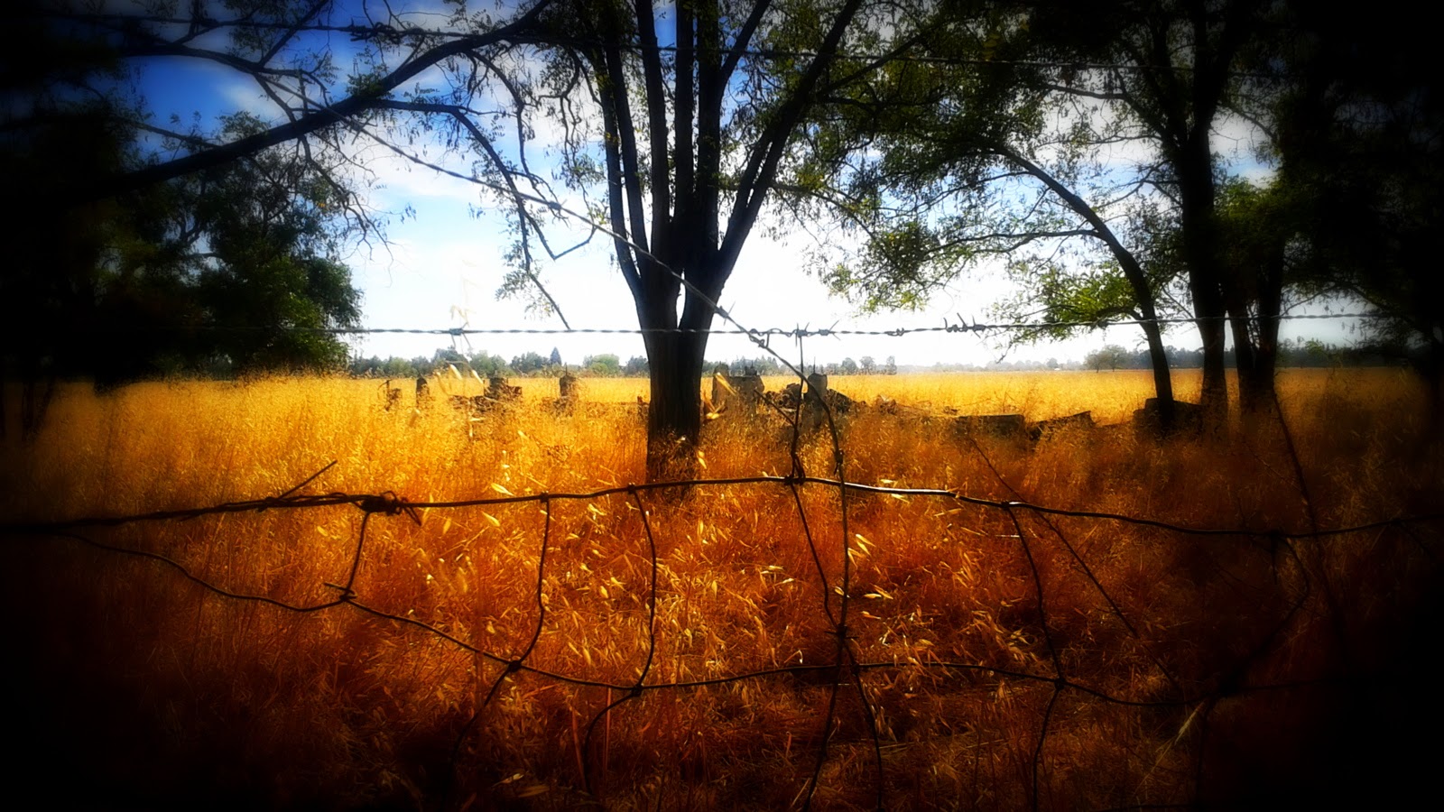 Haunted Humpday The Tragedy's Of Dyer Lane