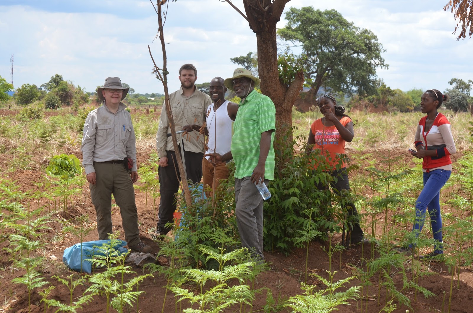 Sampling team in the Zambian Copperbelt region, BGS, ZARI and CBU