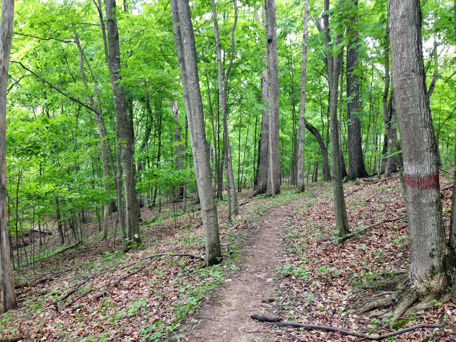Beulah Trail, Greensfelder County Park