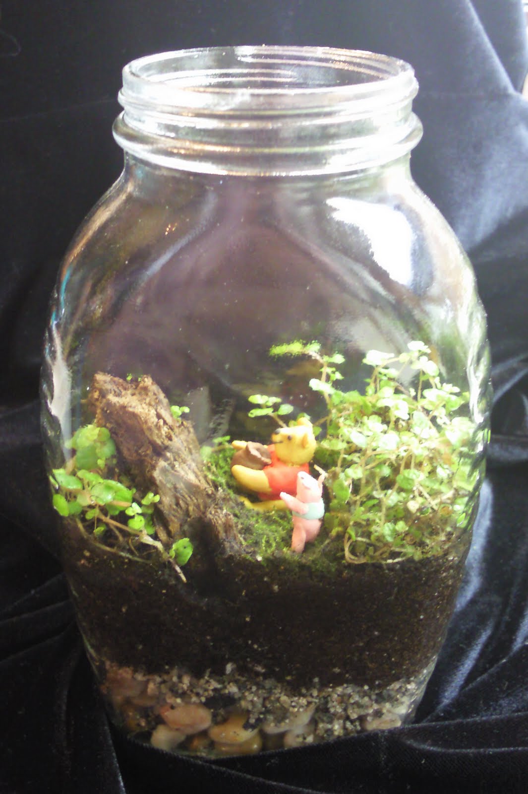 Tiny World Treasures