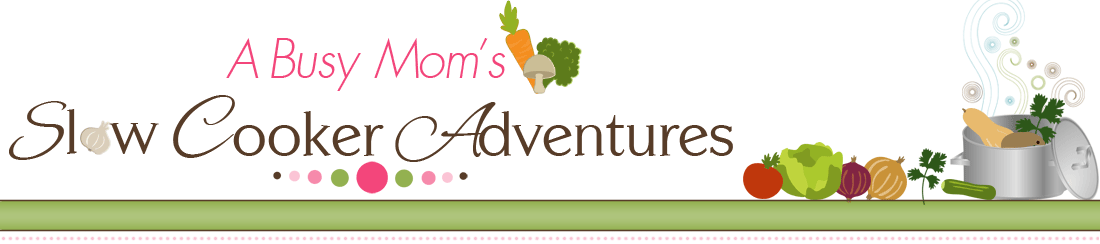 A Busy Mom's Slow Cooker Adventures