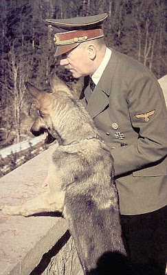 希特勒培訓 狗內閣
