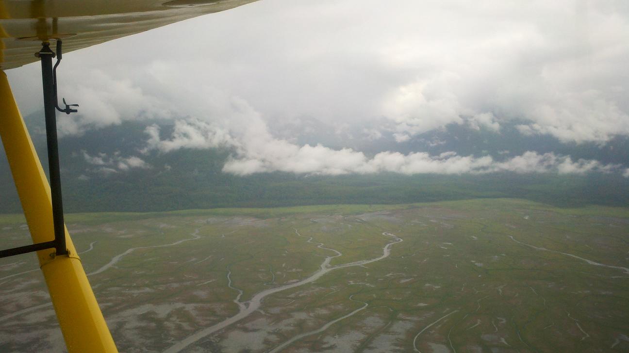 On a Wing and a Whim June 2011