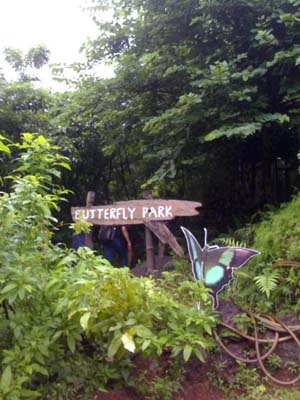 Goa Butterfly Park & Conservatory, Ponda, Goa