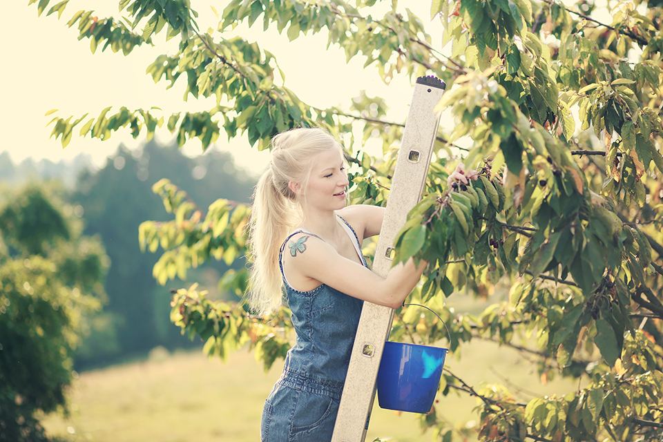 Freude Im Leben Will Ich Dir Geben 10 01 2014 11 01 2014