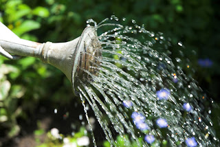 sprinkler system filter 