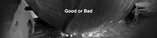 Good or bad