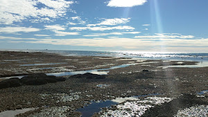 Costa en marea baja