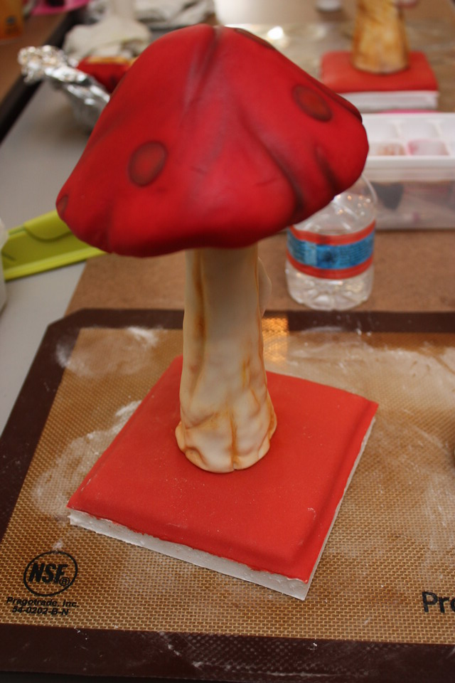 Adventures in Cake Decorating or