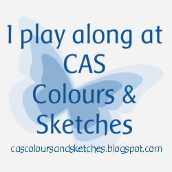 CAS Colours & sketches