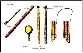 Imagenes Instrumentos Musicales De La Region Amazonica | aplicaci 211 n metodolog 205 a ense 209 anza aprendizaje utilizando Imagenes Instrumentos Musicales De La Region Amazonica | aplicaci 211 n metodolog 205 a ense 209 anza aprendizaje utilizando