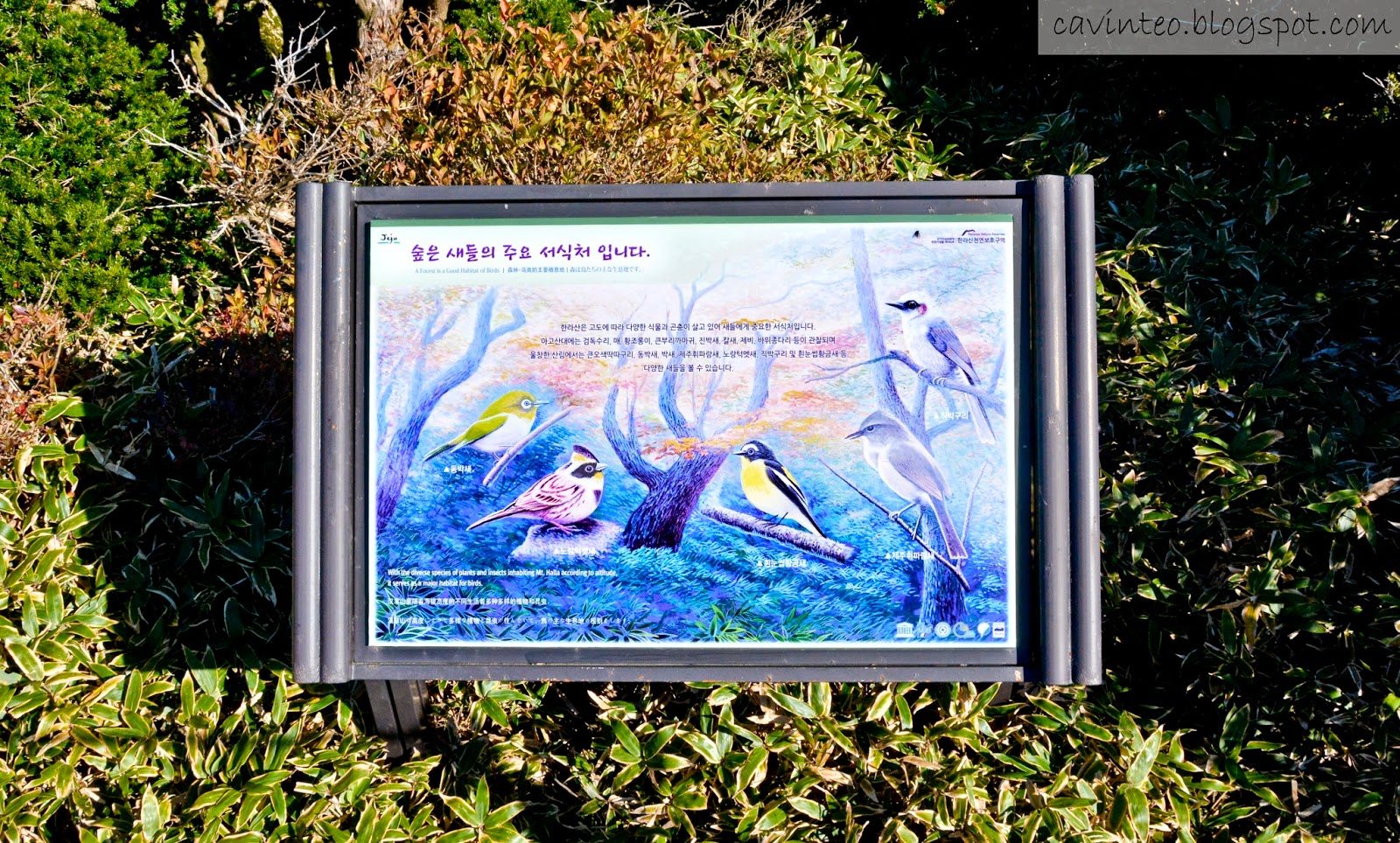 Plants Nations South Korea Cgtn