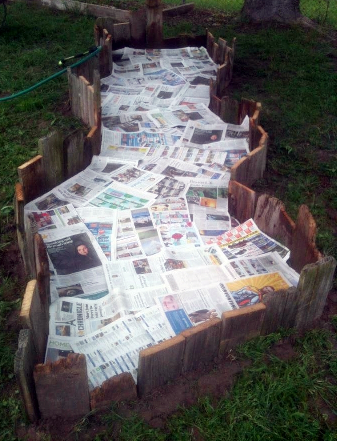 Life's Casual Observer Fun Garden Beds