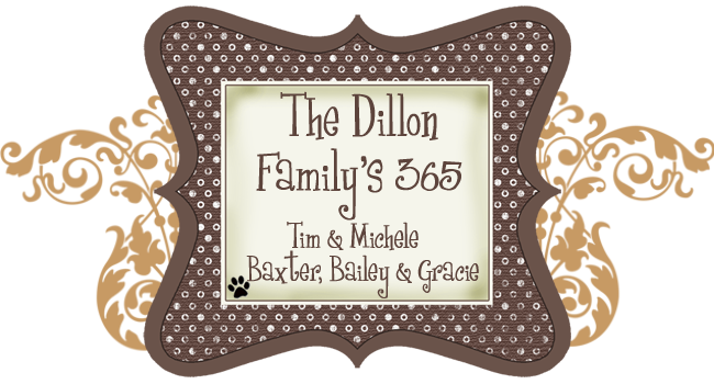 The Dillon Family's Blog
