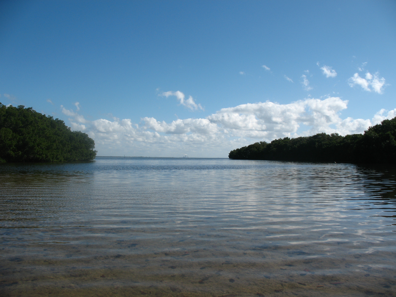 Doing It On The Road(Part II) Riding the tide at Weedon Island Preserve