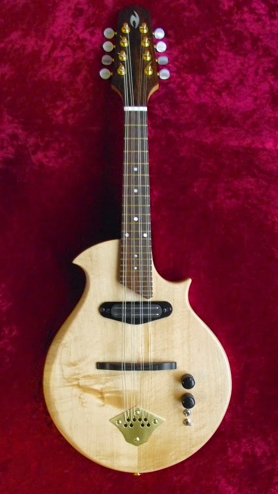 A Luthier's Blog EMando (Electric Mandolin) Design