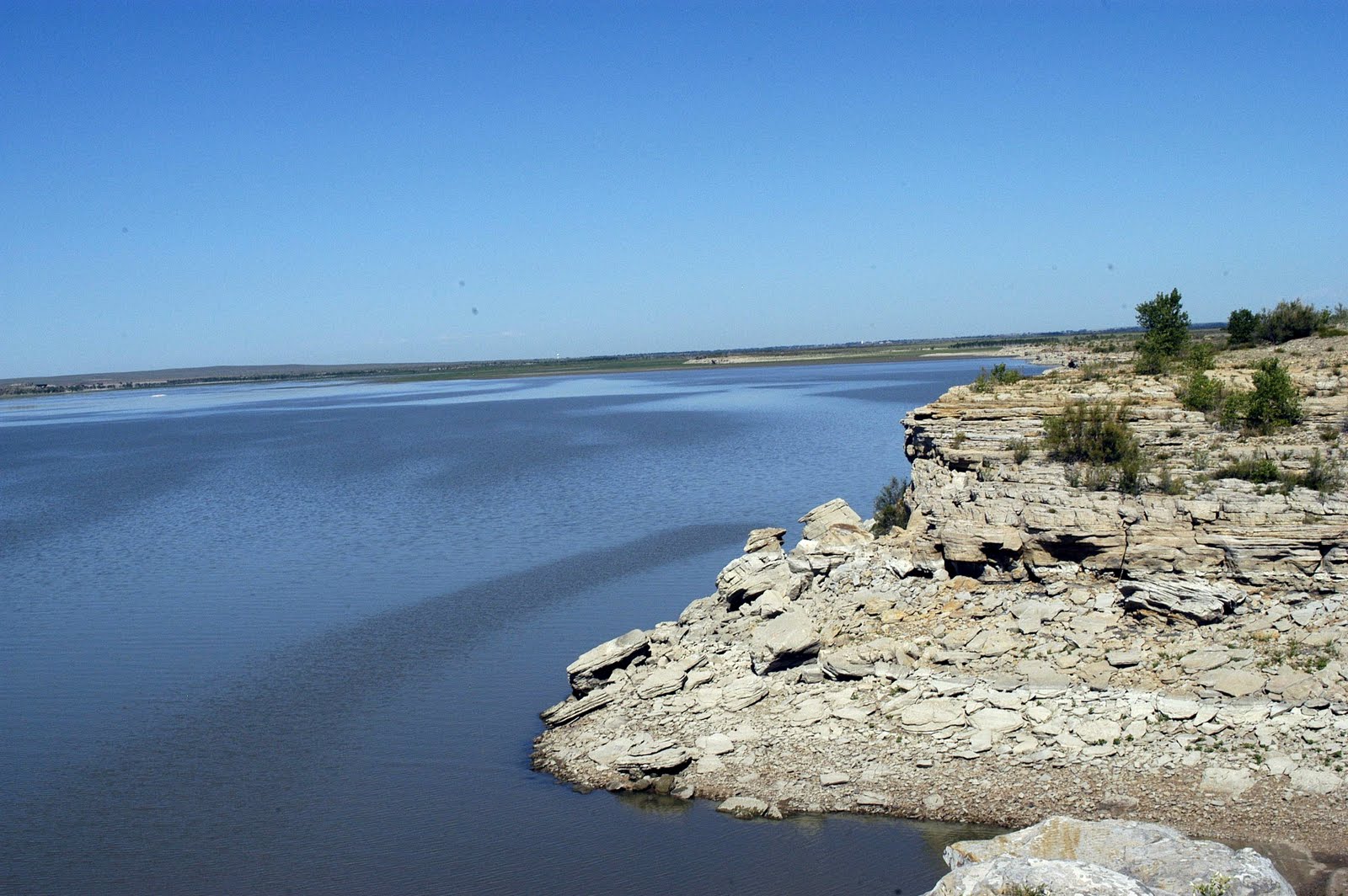 MAP's Camper Adventures ANIMALS CAN'T GET ENOUGH OF THEM!
