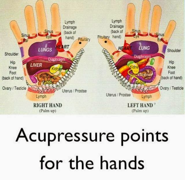 Yoga Palm Beach Acupressure points