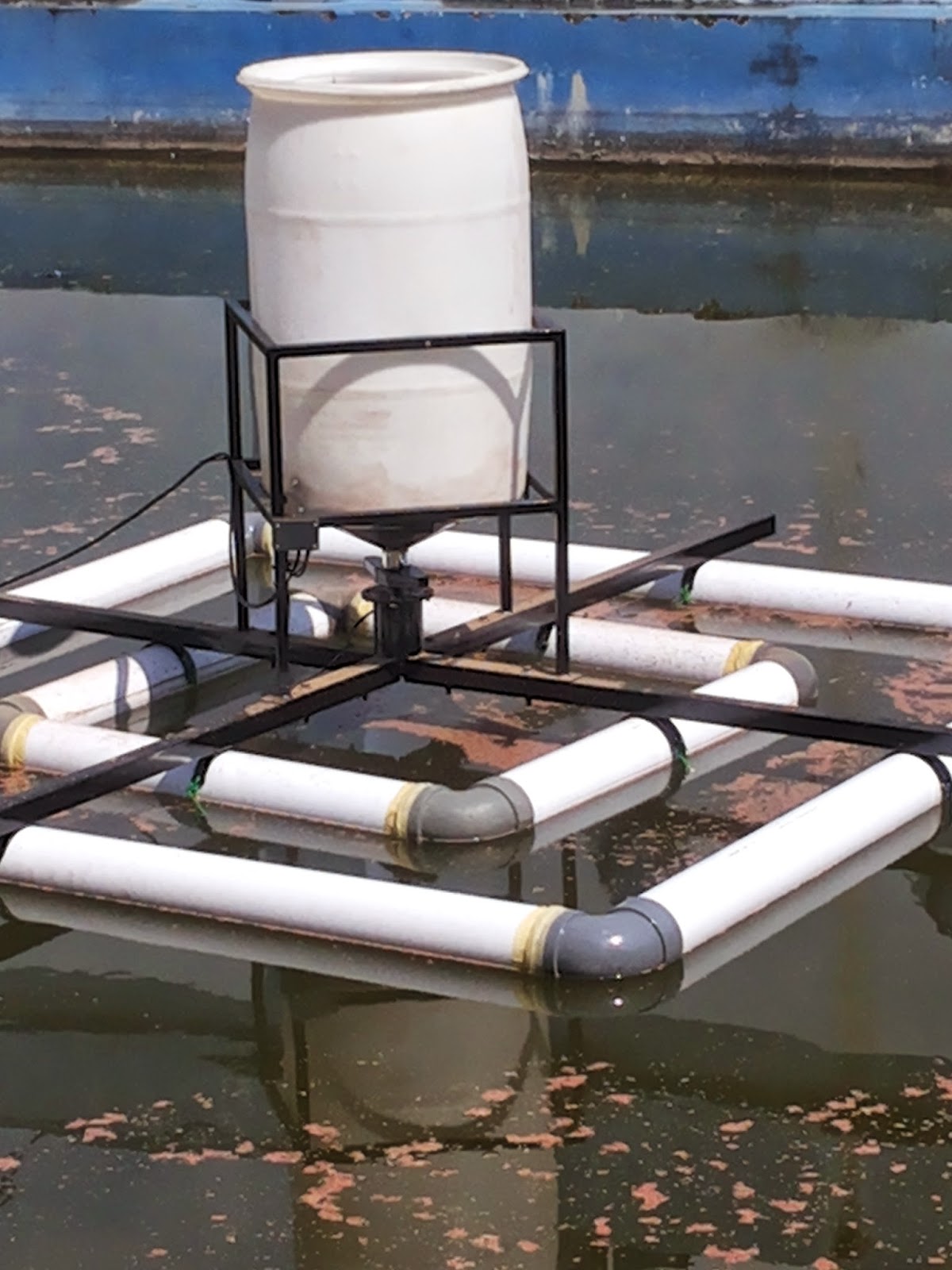 Automatic Feeder Solusi memberi makan ikan menjadi mudah dan tepat AanBLOG