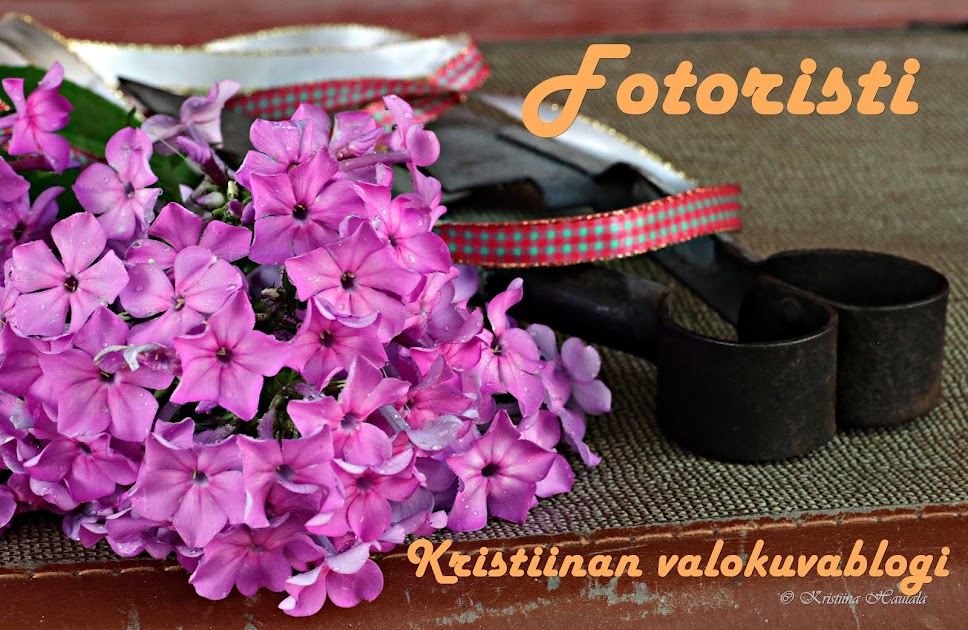 Fotoristi