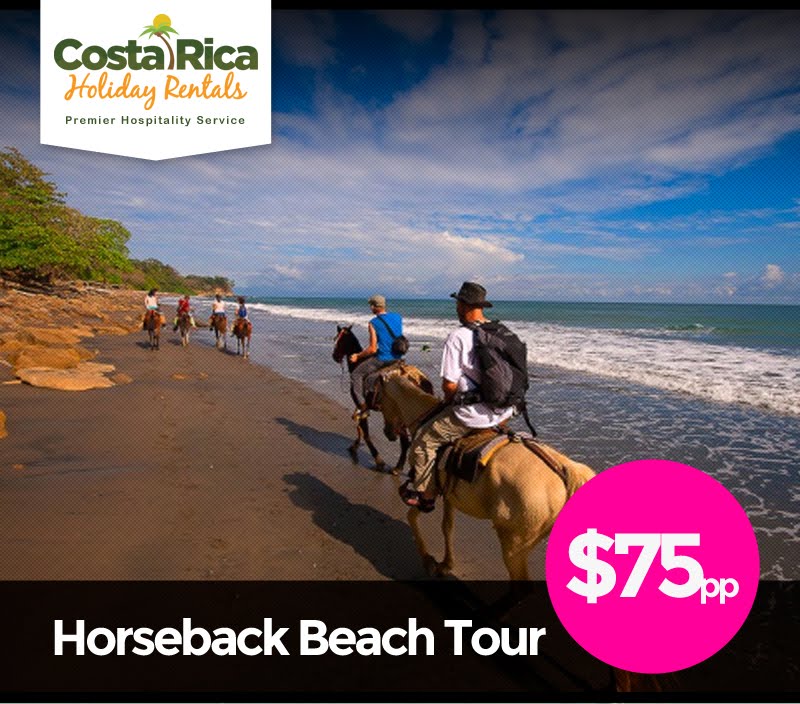 Horseback Beach Tour
